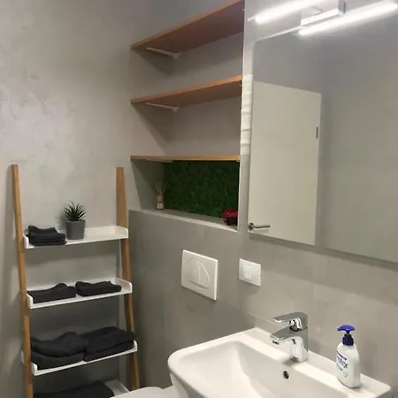 Apartament Studio Silvanda Brașov