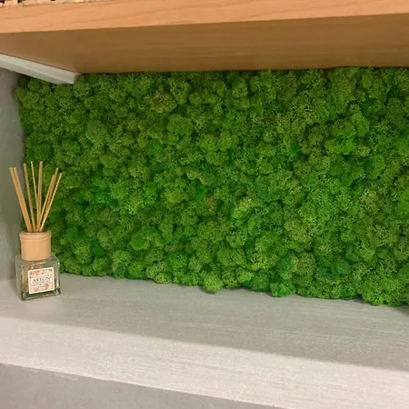 Apartamento Studio Silvanda Braşov